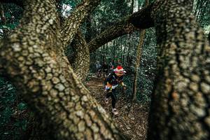 BIB: 
                            <button type="button" onclick="openModal(25392671)" class="btn btn-primary btn-sm float-right btn-popup" data-toggle="modal" data-target=".modal-high-quality">
                        <i class="fas fa-shopping-cart"></i> Add to Cart
                    </button>
                                            <button type="button" onclick="isThisMe(25392671, true)" class="btn btn-success btn-sm float-right btn-popup btn-isme hidden" data-toggle="tooltip" data-placement="bottom" title="นี่คือรูปของคุณใช่ไหม คลิกที่นี่เพื่อเอาเข้าอัลบั้ม">
                        <i class="fas fa-plus"></i> Add to album
                    </button>
                    <button type="button" onclick="isThisMe(25392671, false)" class="btn btn-warning btn-sm float-right btn-popup btn-isnotme hidden">
                        <i class="fas fa-ban"></i> Remove from album
                    </button>